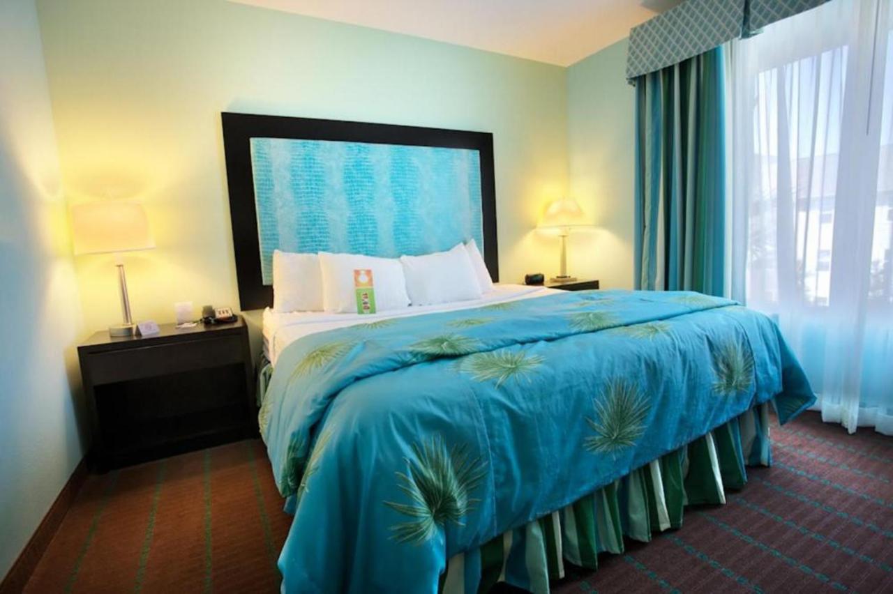 Holiday Inn Hotel & Suites Ocala Conference Center By Ihg Esterno foto